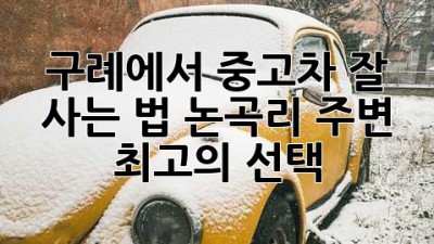 구례에서 중고차 잘 사는 법: 논곡리 주변 최고의 선택