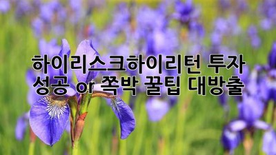 🔥 하이리스크하이리턴 투자, 성공 or 쪽박? 꿀팁 대방출! 💰