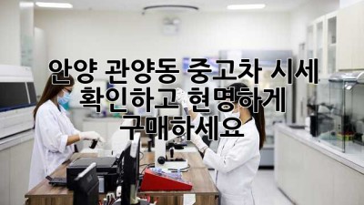 안양 관양동 중고차 시세 확인하고 현명하게 구매하세요!